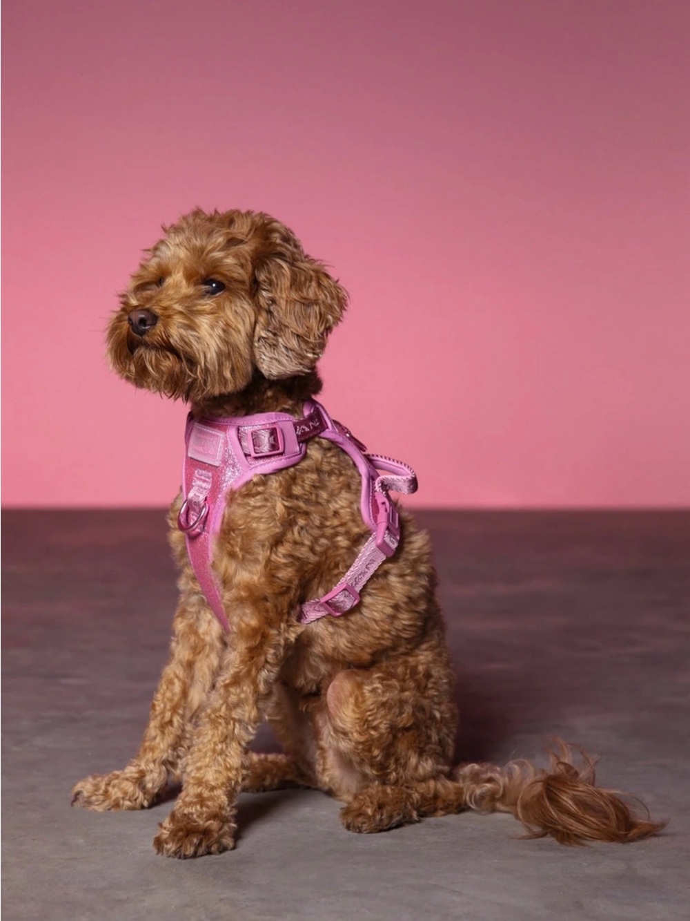 Maxbone x Christian Cowan Sparkling Pink Dog Harness Small